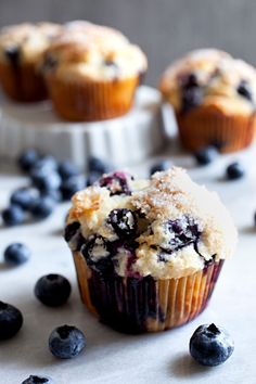 blueberry muffins with powdered sugar and fresh blueberries on the side