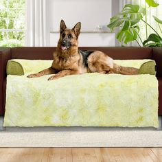 a dog laying on top of a couch in a living room next to a potted plant