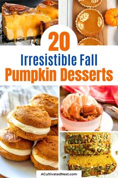 pumpkin desserts with text overlay that reads 20 irresistiblely fall pumpkin desserts