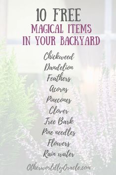 Here's 10 FREE magical items in your backyard! How To Enchant Objects Witchcraft, Faerie Altar, Backyard Herbs, Witchcraft Notes, Wiccan Quotes, Wicca Spells, Beginner Witch, Witch Board, Witch Crafts