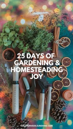 Discover the Magic of a Gardening Advent Calendar 🌿 Gardening Activities, Potato Stamp, Homemade Baked Bread, Holiday Traditions Family, Bug Hotel, Sustainable Christmas, Simple Christmas Decor