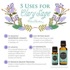 Essential Oils For Colds, Are Essential Oils Safe, Essential Oils For Pain, Clary Sage Essential Oil, Oil Remedies, Oregano Oil, Sage Essential Oil, Patchouli Essential Oil