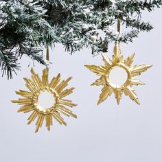 two gold sun ornaments hanging from a pine tree with snow on the ground behind them