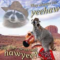 a raccoon wearing a cowboy hat riding on the back of a stuffed animal