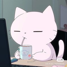 a cat drinking from a mug while sitting in front of a laptop