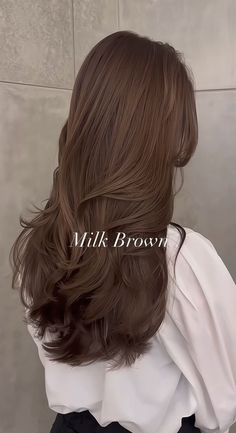 Hair Dye Inspo Natural, Dyed Hair Natural Colors, Hair Color Ideas Without Bleaching, Korean Brown Hair, Natural Hair Colour, Heavy Hair, Korean Hair Color