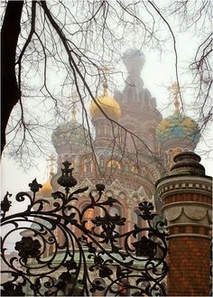 an ornate iron fence in front of a building with a golden dome on it's top