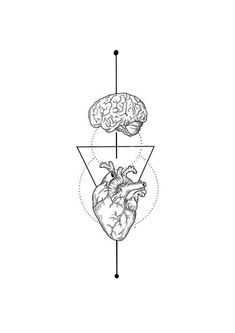 an image of the human heart and brain with arrows pointing to each other in different directions