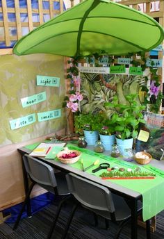 a green table topped with lots of plants next to a wall covered in signs and pictures