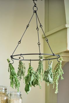 a pot filled with herbs hanging from a ceiling