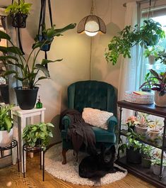 a living room filled with lots of potted plants