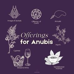 an image of different types of herbs for anubis with the words offerings on it