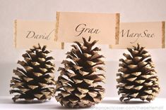 three pine cones sitting next to each other on top of a white table with place cards