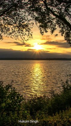 the sun is setting over the water with trees in front of it and some bushes on the shore