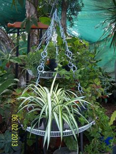 some plants are hanging from a metal plant hanger in the middle of a garden