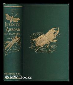 an insect's abroad by r j wood, first printing in the early 1900's