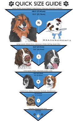 an illustrated guide to the different breeds of dogs