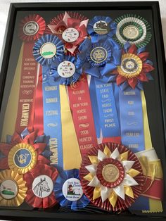 several ribbons and badges are displayed in a shadow box