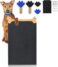 a brown dog standing next to a black board with wooden pegs and clips on it