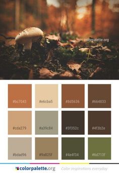 the color palette is brown, green, and beige with mushrooms on it in different shades