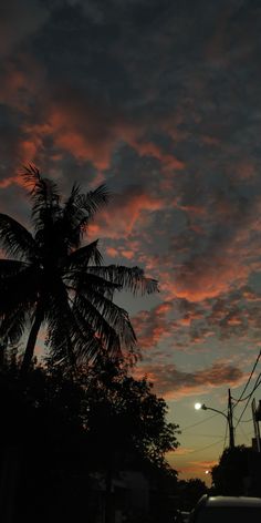 the sun is setting behind some palm trees