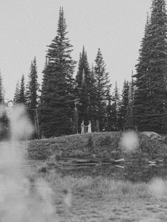 black and white photograph of two people standing on a grassy hill surrounded by pine trees