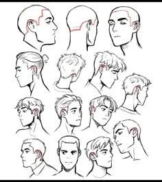 an image of the head and shoulders of people with different haircuts on them