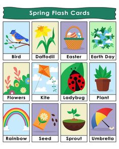 Spring flashcard vector Spring Flashcards, Children Education, Flashcards For Kids, Graphic Editing, Kids Education, English Vocabulary, Children Illustration, English Language, Premium Vector