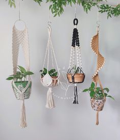 several hanging planters with plants in them