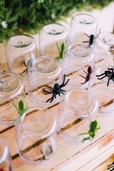 several small glass vases filled with plants and spider figurines on top of a wooden table