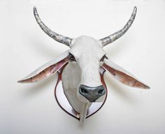 an animal head mounted to the side of a wall with horns on it's sides