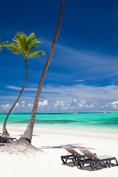 two lounge chairs and a palm tree on the beach with turquoise water in the background