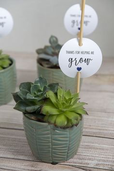 three small potted plants with signs on them that say thanks for helping me grow