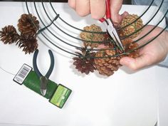 someone is cutting pine cones with scissors on a white table next to some pine cones