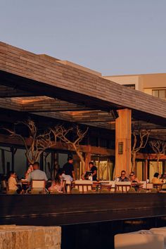 Nobu Los Cabo Luxury Hotel Flowing Water, Japanese Design, At The Hotel