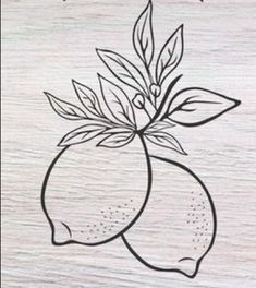 a drawing of a lemon with leaves on it