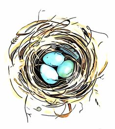 a bird's nest with three blue eggs in it on top of a white background