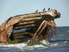 birds sitting on the top of an old ship in the ocean