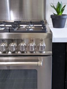 a stainless steel stove with four burners and a potted plant