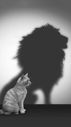 a cat sitting in front of a shadow of a lion