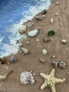 several seashells and starfish are on the sand near the water's edge