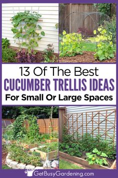 4 different types of trellises with cucumber plants growing on them