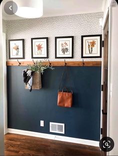 a purse hanging on the wall with three pictures above it and a plant in a basket