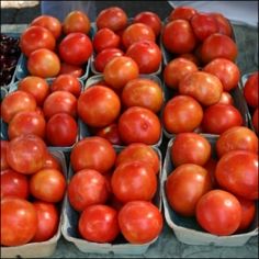 several baskets filled with lots of red tomatoes