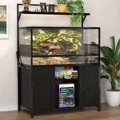 a large fish tank sitting on top of a wooden table next to a plant and potted plants