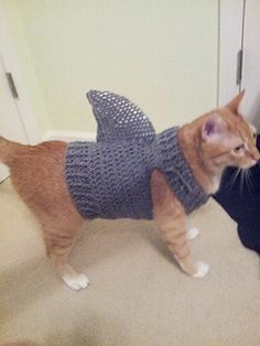 an orange and white cat wearing a knitted shark sweater next to a black cat