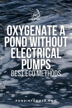 an image of water and ice with the words oxygen is a pond without electrical pumps best eco