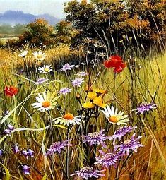 a painting of wildflowers and other flowers in a field