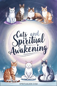 three cats sitting on top of each other with the words cats and spiritful awakeing