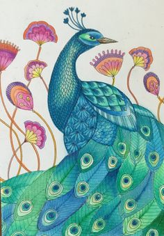 a drawing of a peacock with flowers in the background